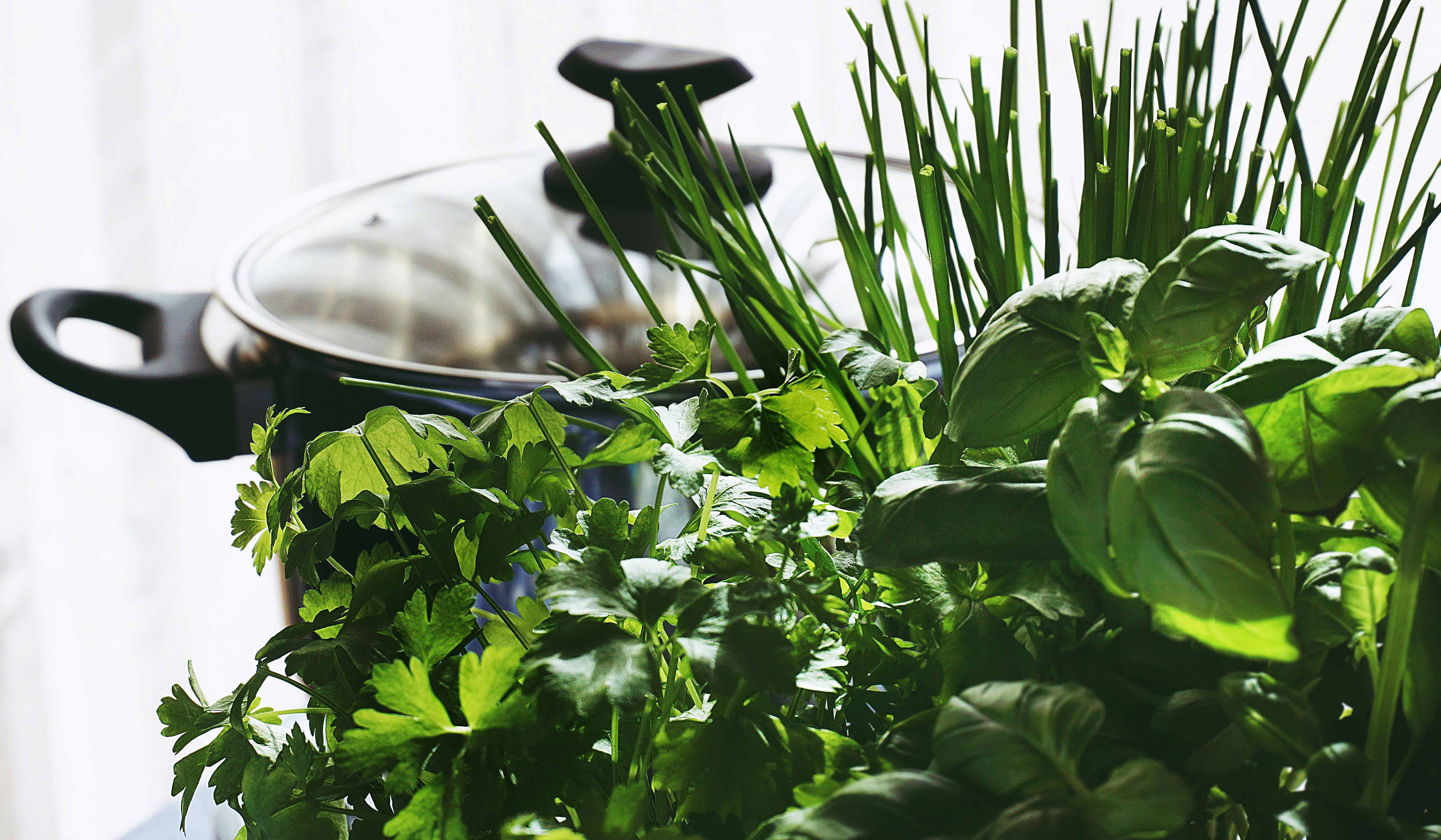 Mixed herbs: basil, parsley, mint
