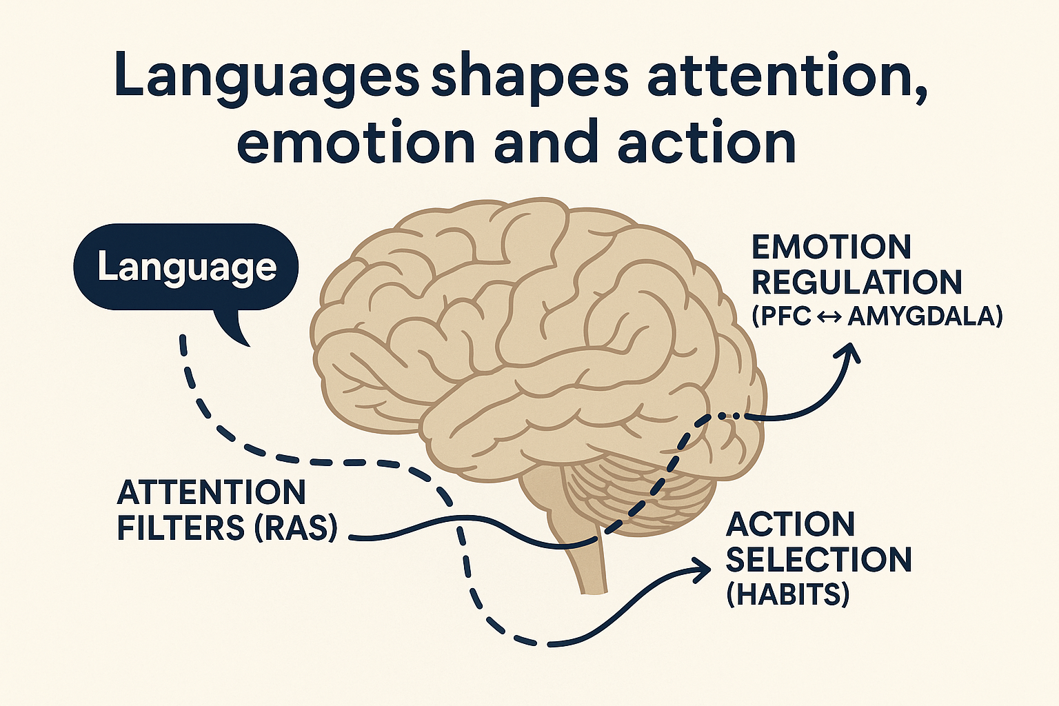 Pathways: language shaping attention, emotion, and action